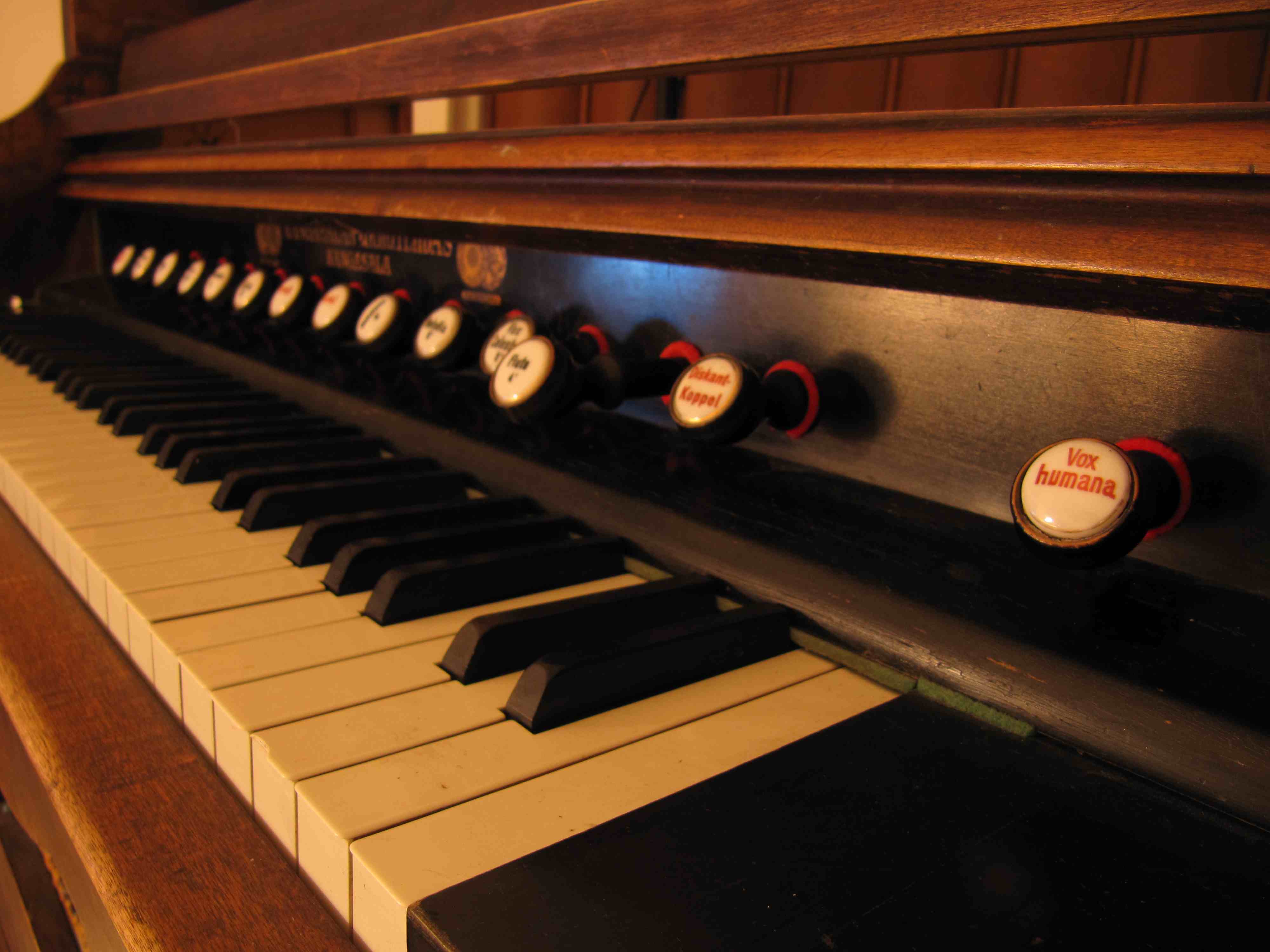 Reed organ study